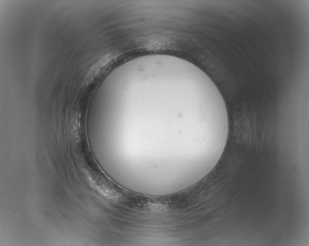 X0000077990592200610271112