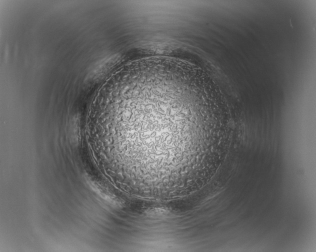 X0000077990594200610271112