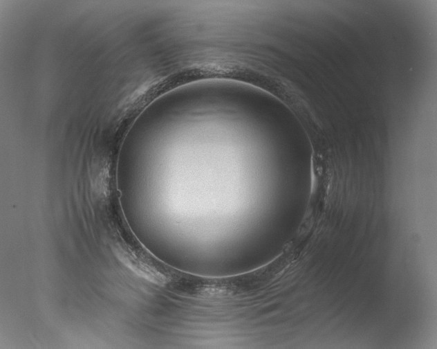X0000077990596200610271112