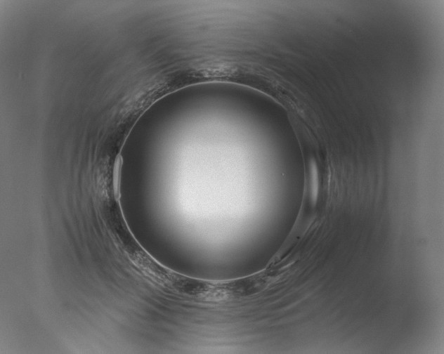 X0000077990604200610271112