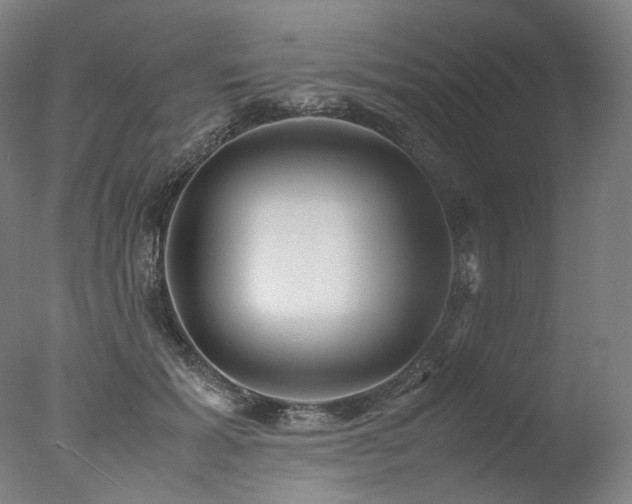 X0000077990605200610271112