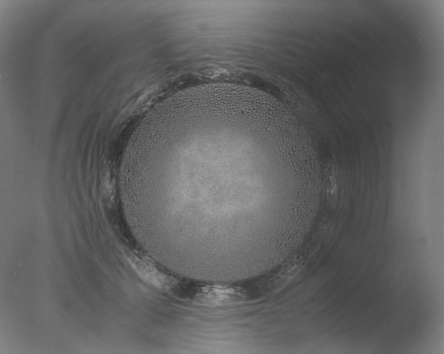 X0000077990607200610271112