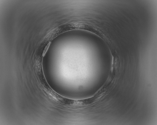 X0000077990609200610271112