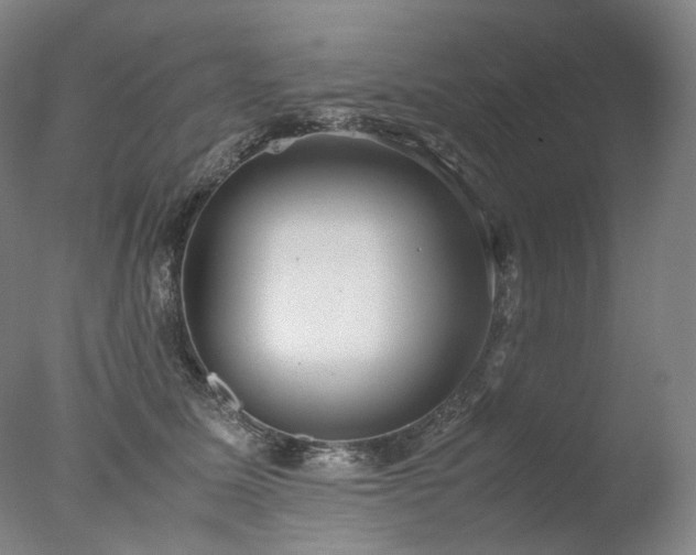 X0000077990611200610271112