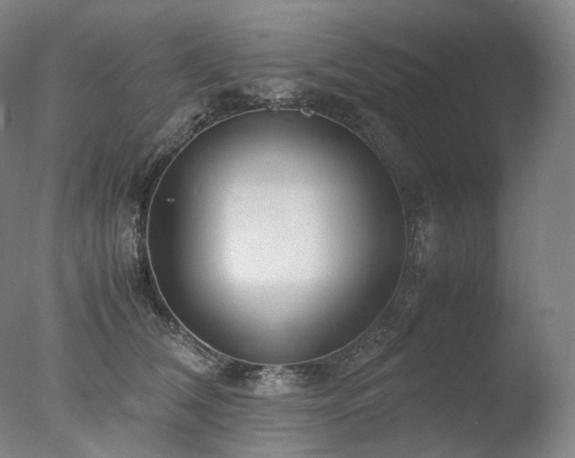 X0000077990612200610271112