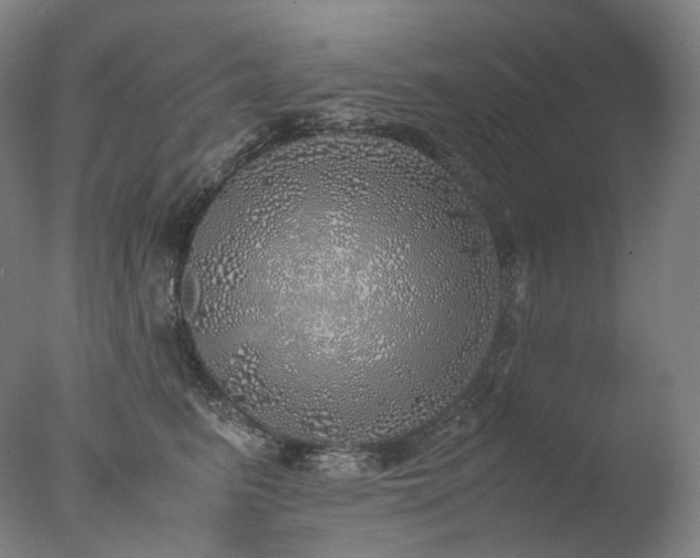 X0000077990615200610271112