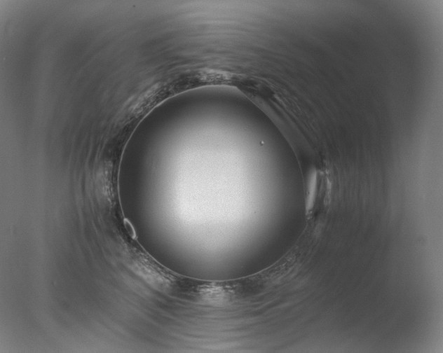 X0000077990616200610271112