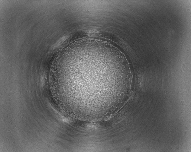 X0000077990618200610271112