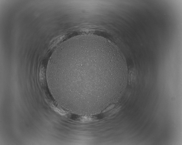 X0000077990623200610271112