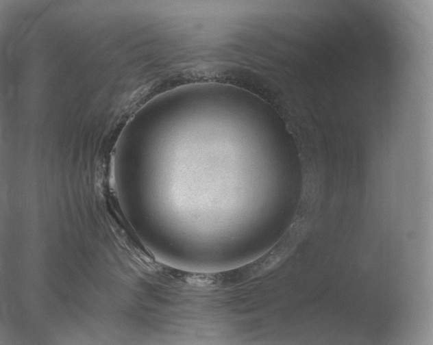X0000077990624200610271112