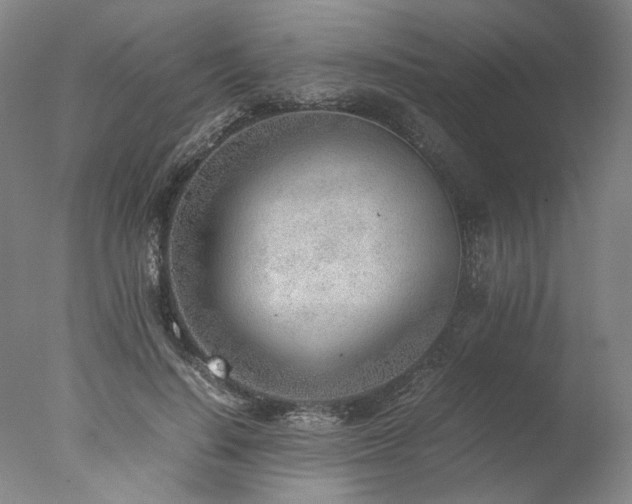 X0000077990644200610271111