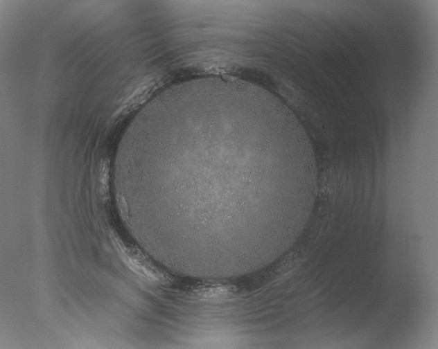 X0000077990646200610271111