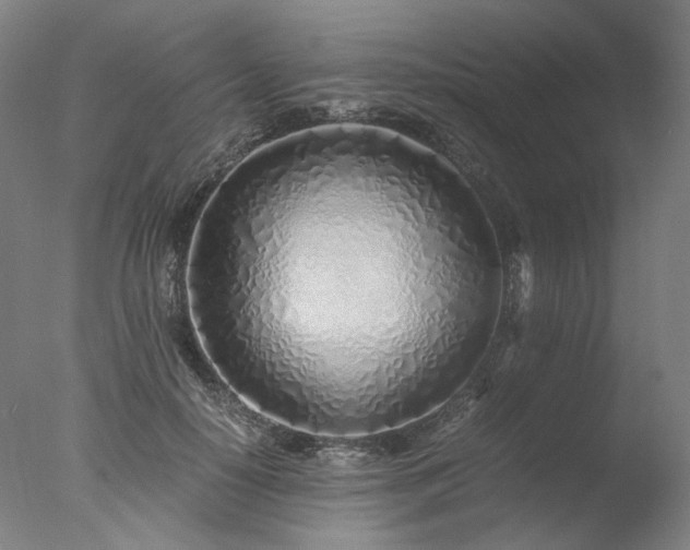 X0000077990650200610271112