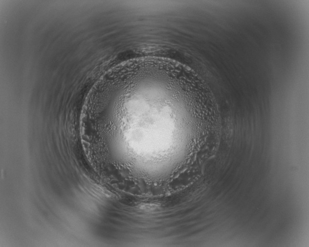 X0000077990653200610271112
