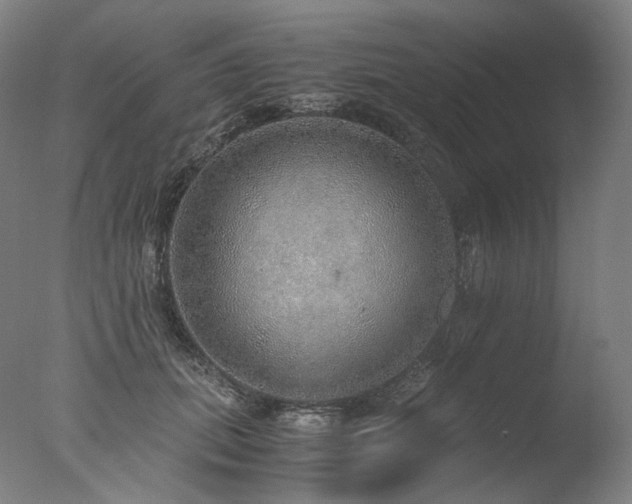 X0000077990655200610271112