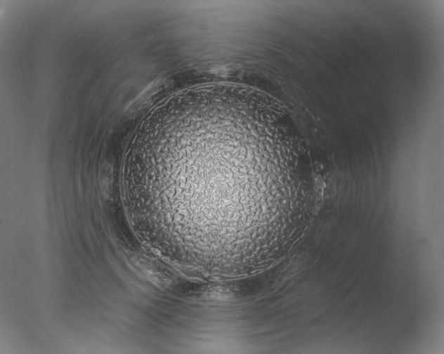 X0000077990656200610271112