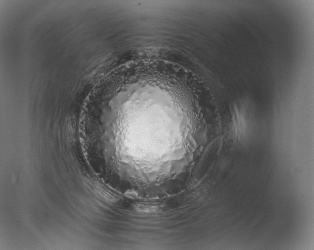 X0000077990661200610271112