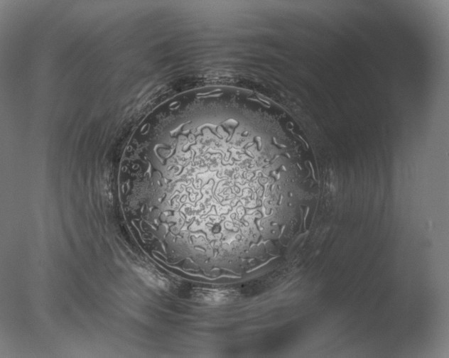 X0000077990663200610271112