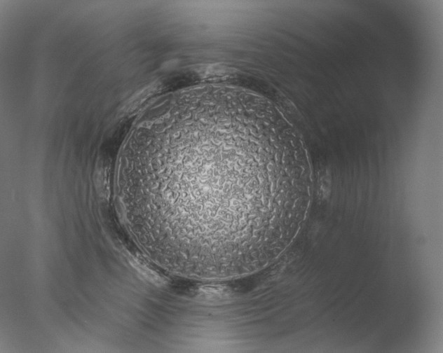 X0000077990666200610271112
