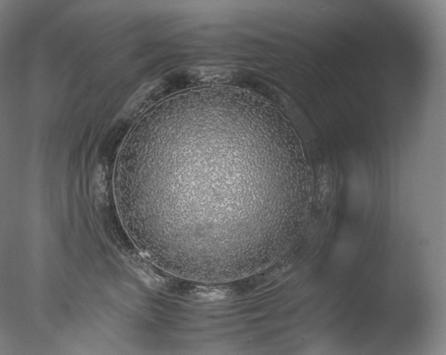 X0000077990667200610271112