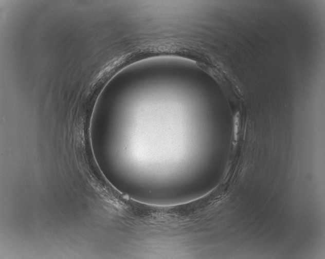 X0000077990681200610271111