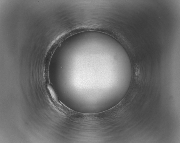 X0000077990684200610271111