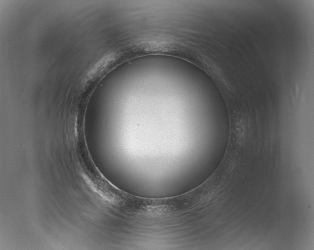 X0000077990686200610271111
