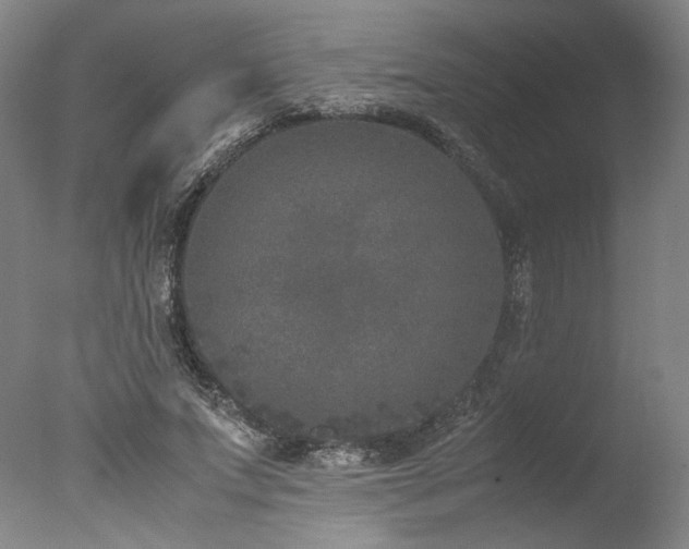 X0000077990687200610271111