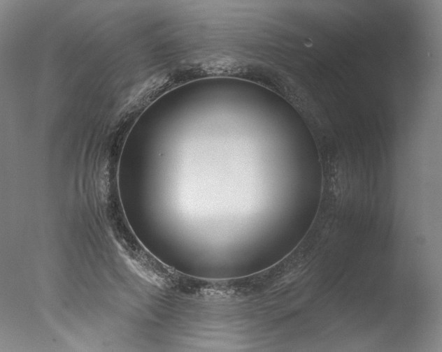 X0000077990690200610271111