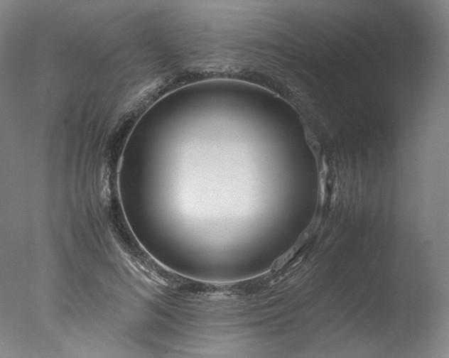 X0000077990692200610271111