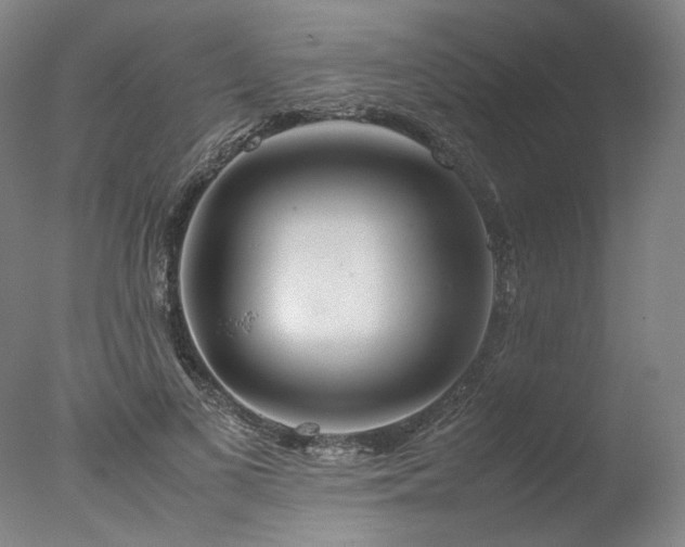 X0000077990693200610271111