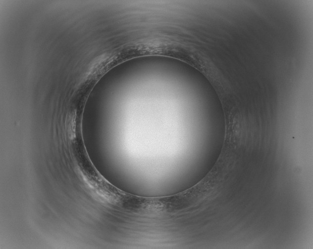 X0000077990694200610271111