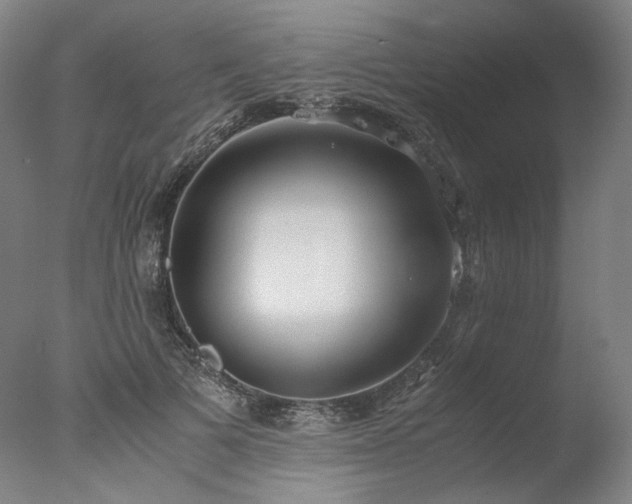 X0000077990697200610271111