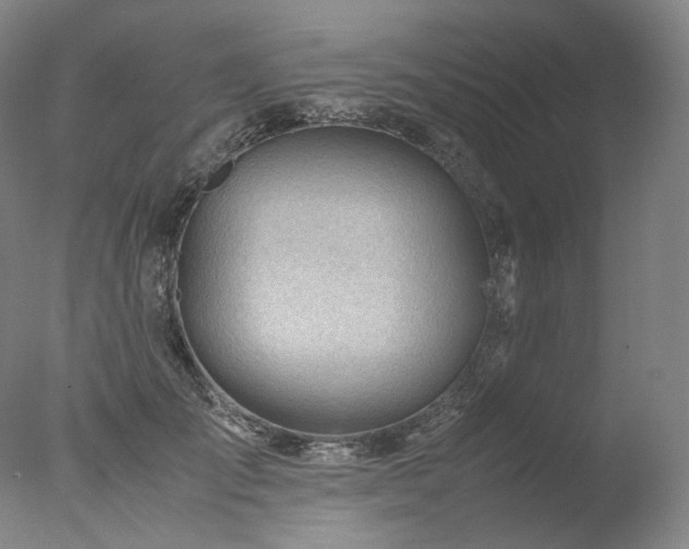 X0000077990701200610271111