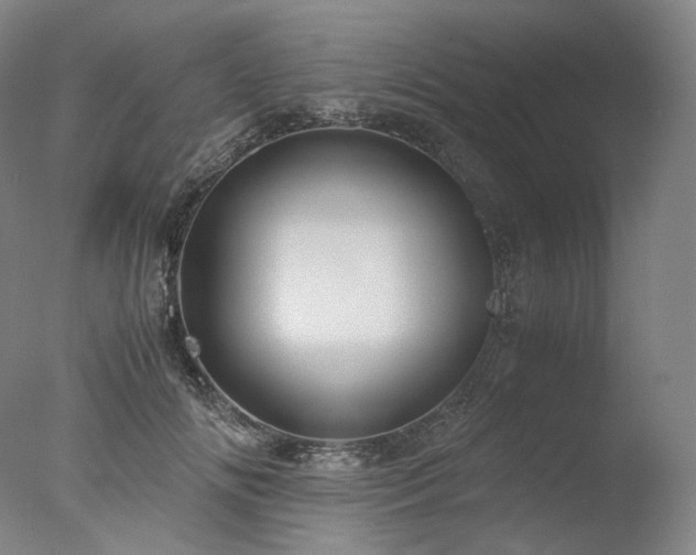 X0000077990702200610271111
