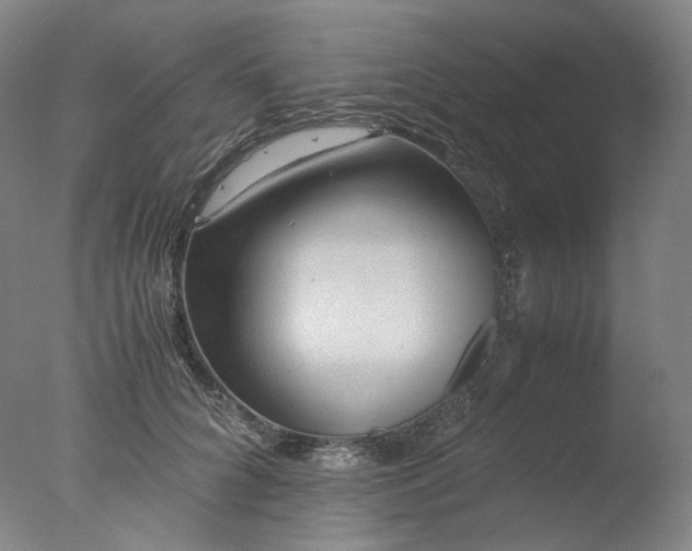 X0000077990704200610271111