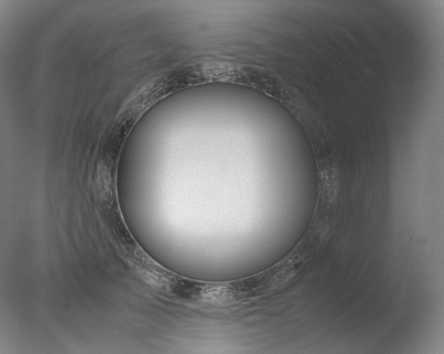 X0000077990705200610271111