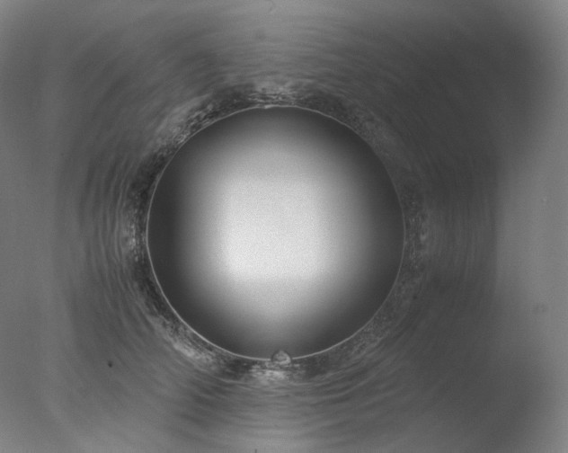 X0000077990706200610271111