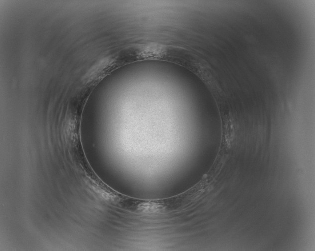 X0000077990714200610271110