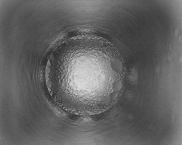 X0000077990715200610271110