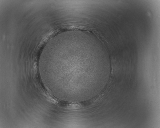 X0000077990716200610271110