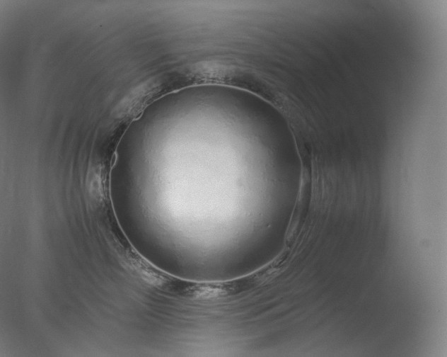 X0000077990718200610271110