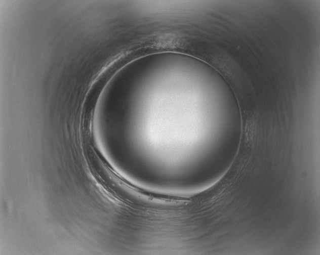 X0000077990722200610271110