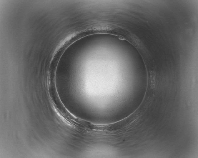 X0000077990726200610271110