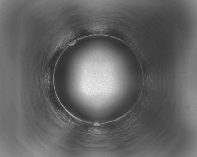 X0000077990739200610271110