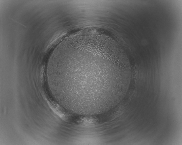 X0000077990742200610271110