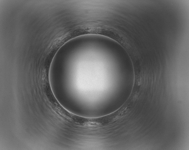 X0000077990748200610271110