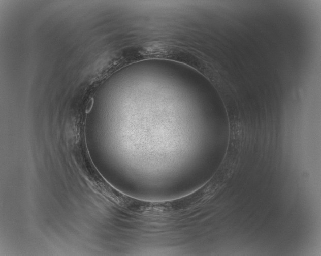 X0000077990751200610271110