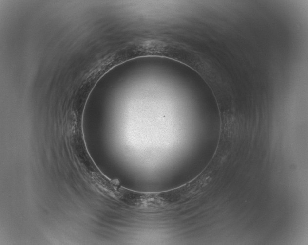X0000077990752200610271110