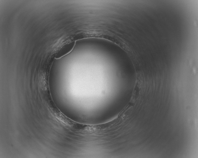 X0000077990764200610271110